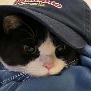 无双记录军武事儿