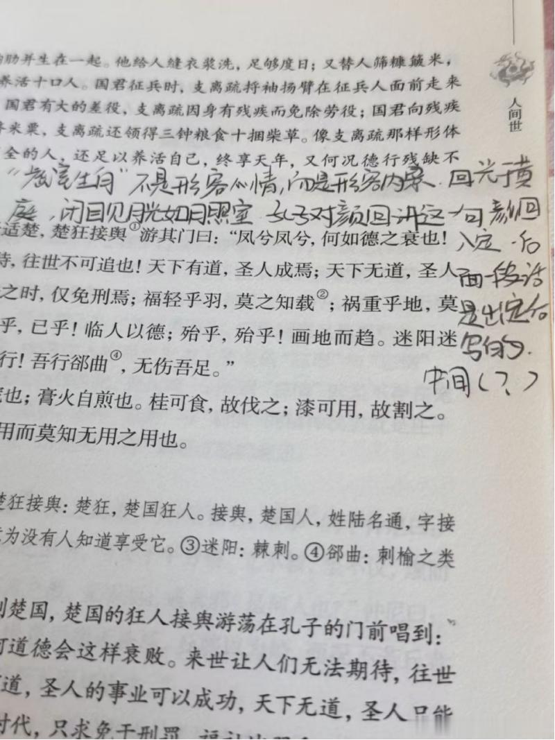 历史上一些特别能写的文人，可能会把自己的修炼记录藏在文章里。南朝有个人叫沈麟士，当地出了名的有学问，尤其喜欢解释《易经》，写了很多注解。这人穷，但不在乎穷，平时赤脚走路，衣服破了就补补穿着。有一天他在河边洗头，有人把他的鞋顺走了，他走回来，鞋没了，于是就把脚洗了洗，继续读书。这种行为放在前些年，我们村里人都得说又出新守村人了。但是，沈麟士这个人，不是身体或智商有残缺的人。他其实是修炼到了一种不受外物干扰的程度。这些看他平时吃的就能看出来。沈麟士每天吃的极其简单，每天吃含有蒲公英和黄精的蒸菜，《千金方》里说，身体里湿气过重的人，最好不要吃厚味重油，吃得简单的人，脑子里才有空间。蒸菜本来就清淡，再加上这些“菜”里有大量的蒲公英和黄精，所以沈麟士的身体一直处于一种排毒养神的状态。他给《易经》注解的内容里有很多说的是气的走向，以及修炼方法。不过，没什么人理解。可惜可惜、（师弟最近也爱上了写批语）