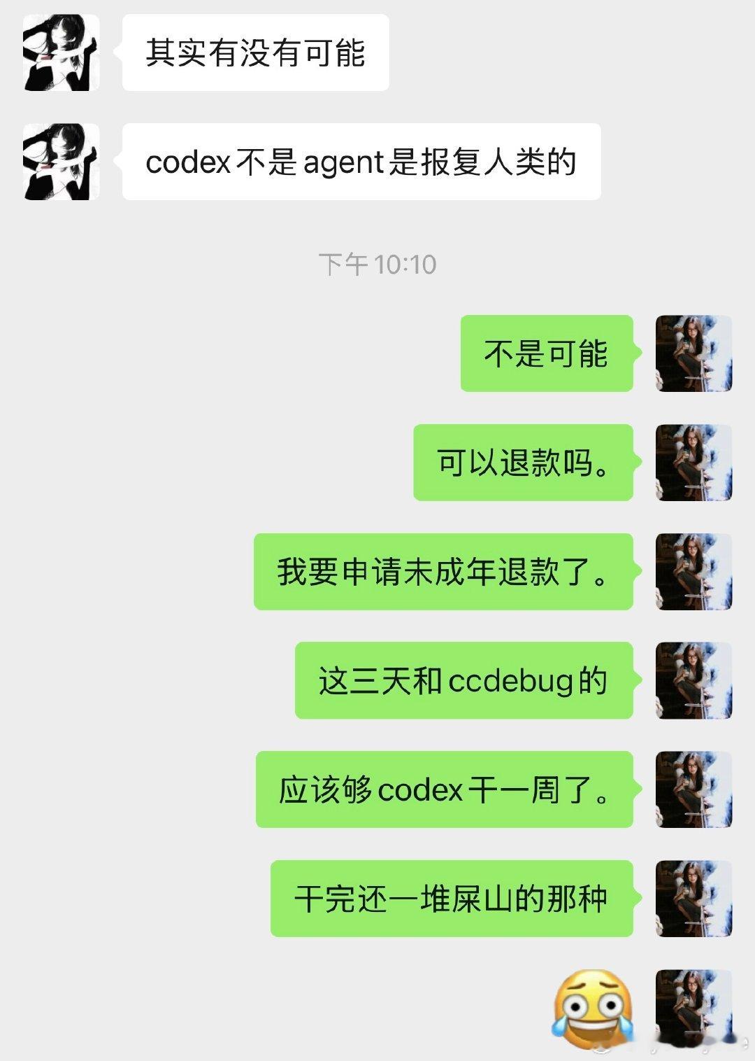 我一拳打死codex ​