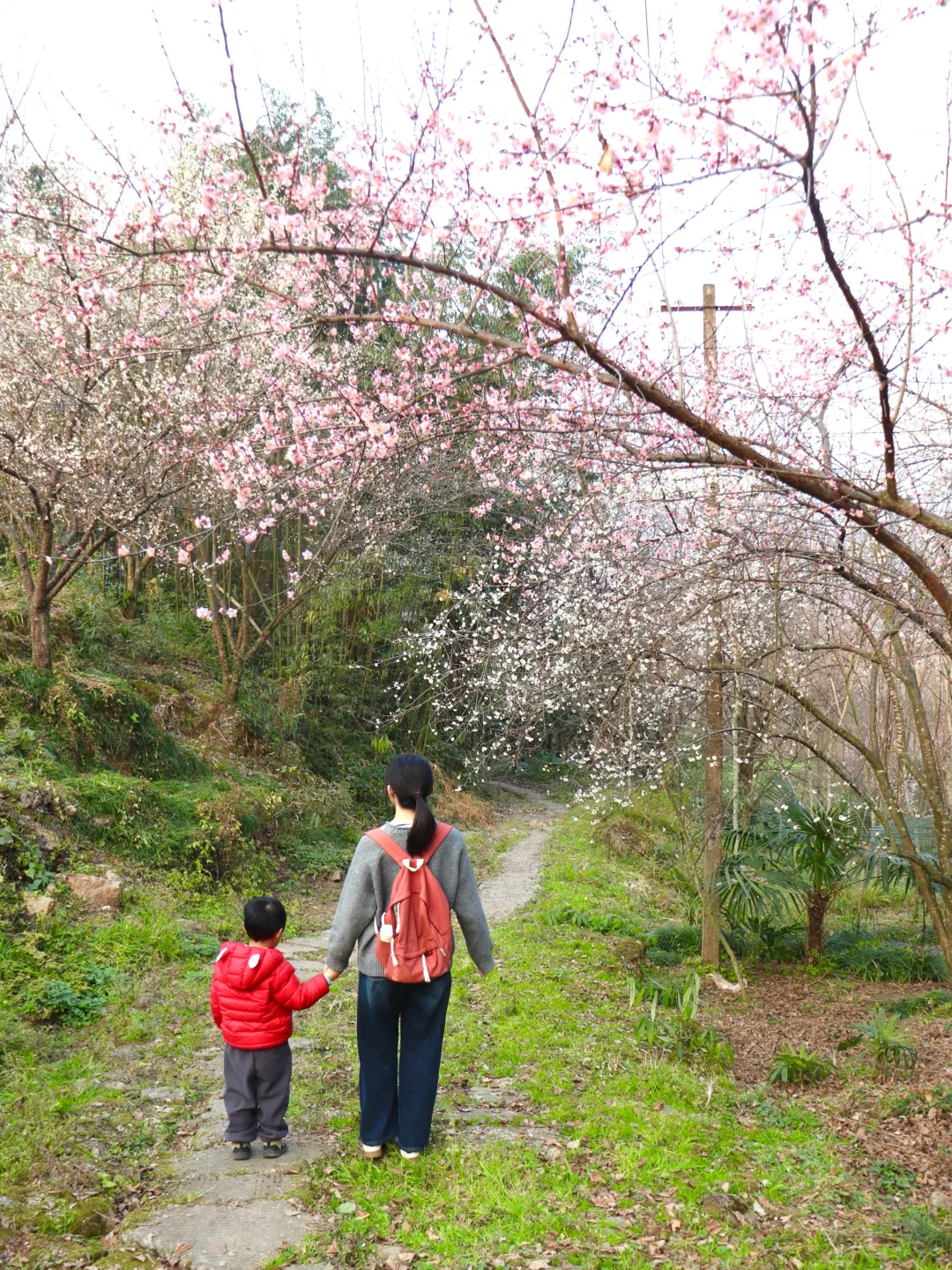 成都1h | 后悔没早点去，这条绝美赏花路线❗