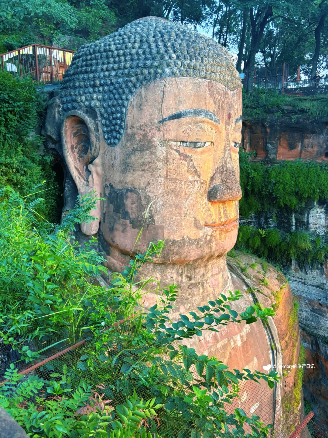 乐山一日游完整版攻略！省心不绕弯！