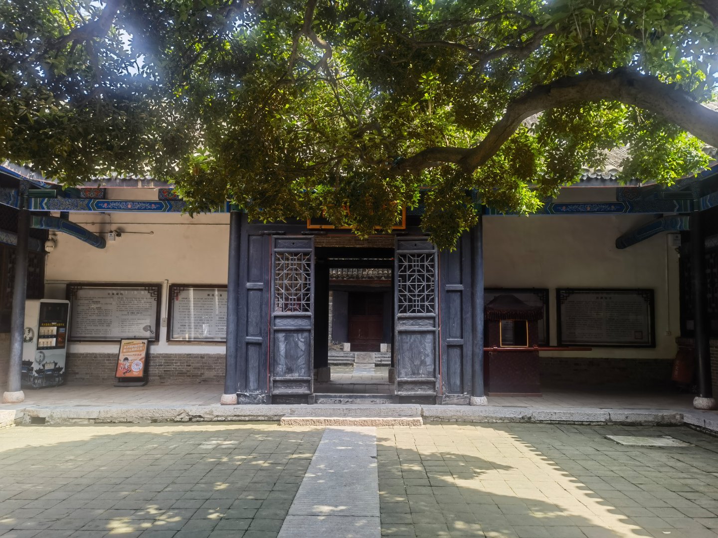 内乡县衙里，有两棵从元代走来的桂花树。七百多个春秋，它们成了县衙里最老...