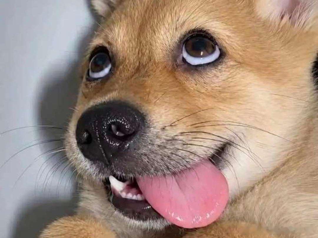 老是爱上女同事怎么办 柯蓝你有什么头绪吗🌚 ​