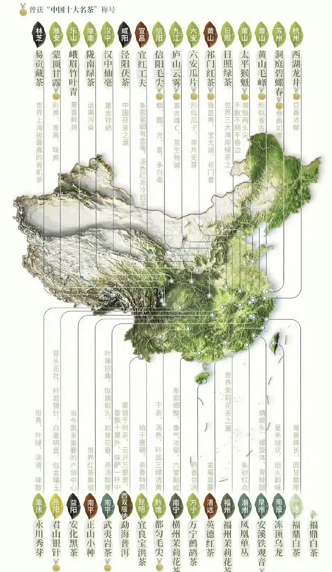 全国代表性名茶分布图｜一篇看懂，建议收藏！