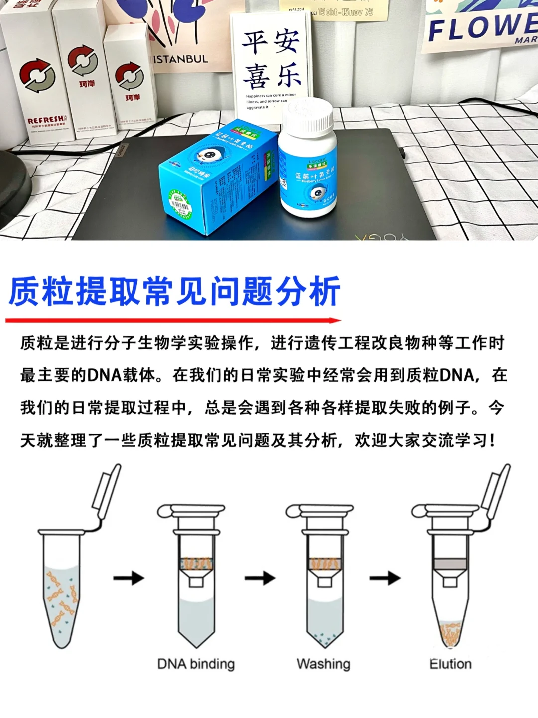 🔥质粒提取失败常见原因分析｜技术分享篇