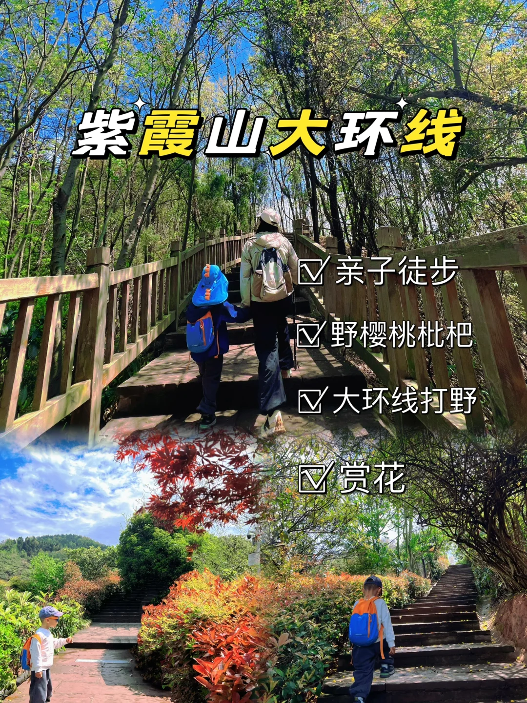 成都近郊0.5h‼️人少不打挤森林徒步路线