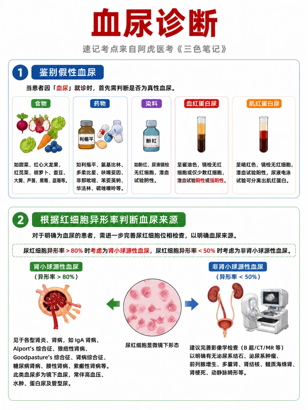 阿虎医考笔记 📒 血尿不会诊断？❤️