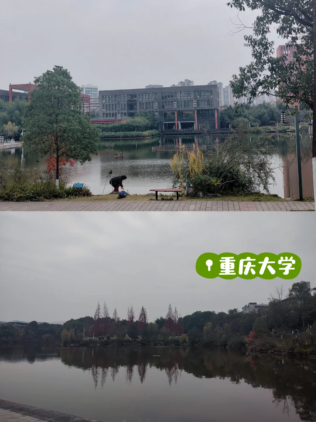 想做图书馆员的朋友不要盲目考证