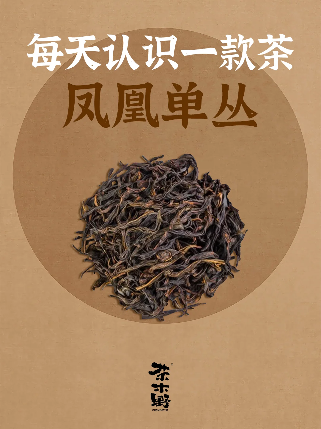 知识分享丨一分钟了解凤凰单丛