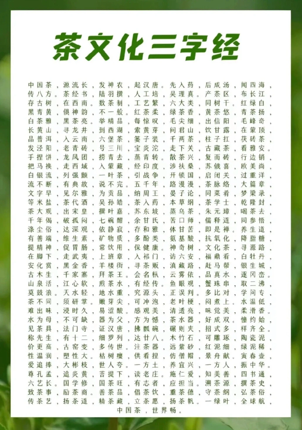 茶叶《三字经》，带你全面了解中国茶！