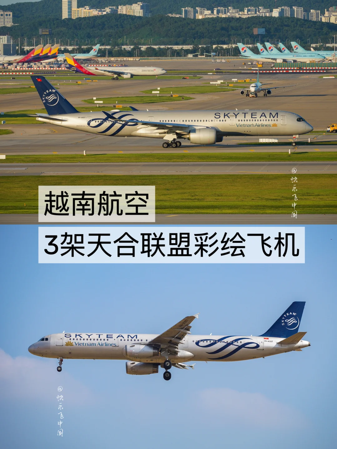 越南航空3架天合联盟彩绘飞机。