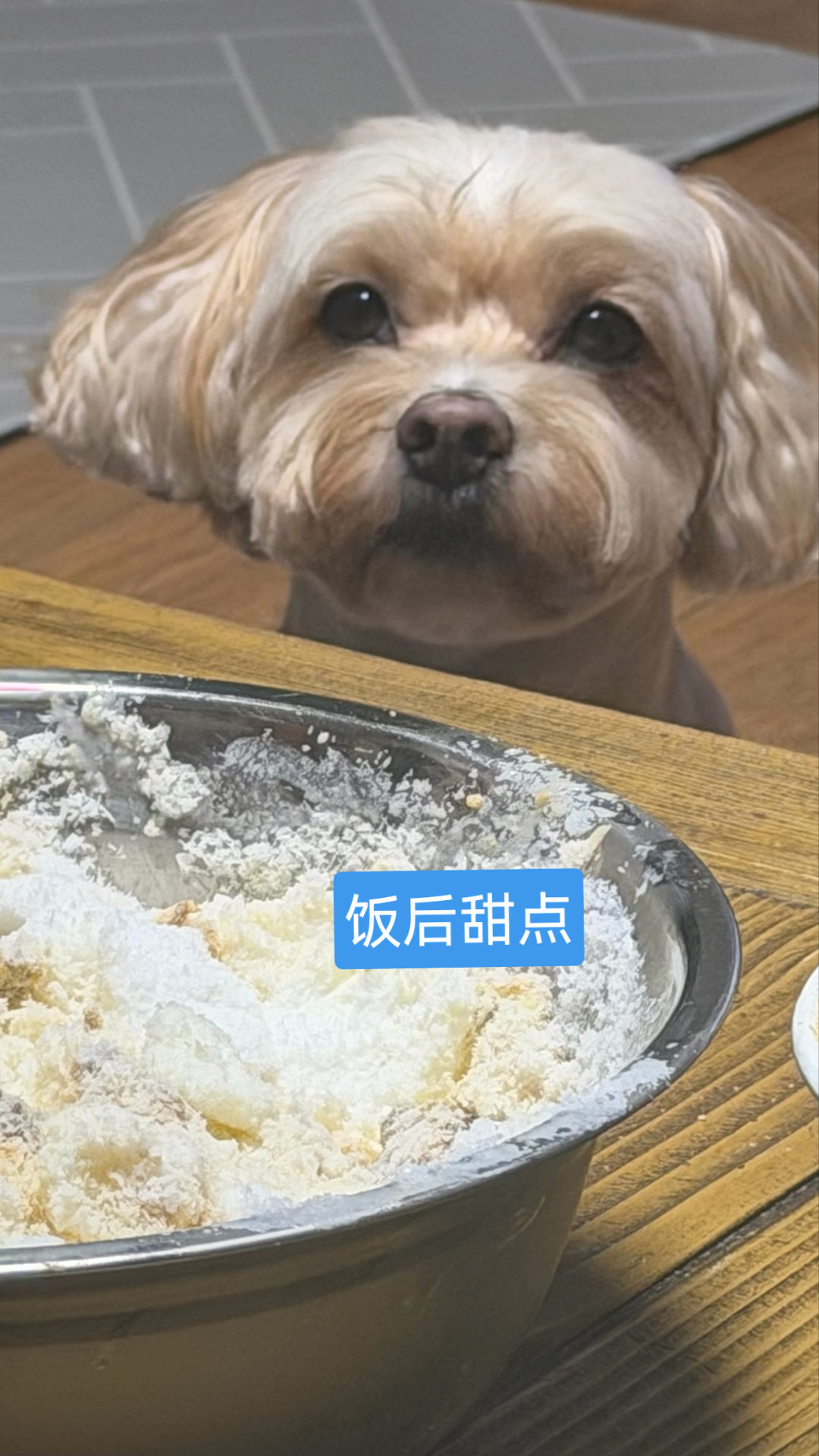 我宝儿回家日食记～嚼嚼嚼～​