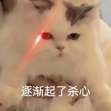 故意杀人！