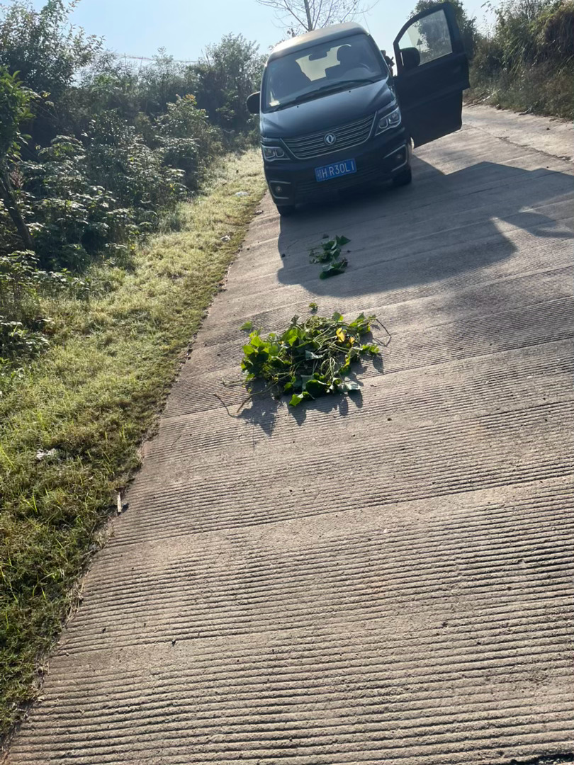 这一路跟着，捡了十几斤红薯藤子，作为一个没饿过肚子的80后，我是真看不得这些饿过肚子的老农民铺张浪费还是吃饱饭太久了，得饿一下至于有人抬杠停车再启动的油耗可以买更多的红薯藤，这话我就不爱听了，我这是拉动消费啊，你不加油，我不加油，三桶油的老师们拿什么包二奈？难道拿他们的人格魅力吗？昂？