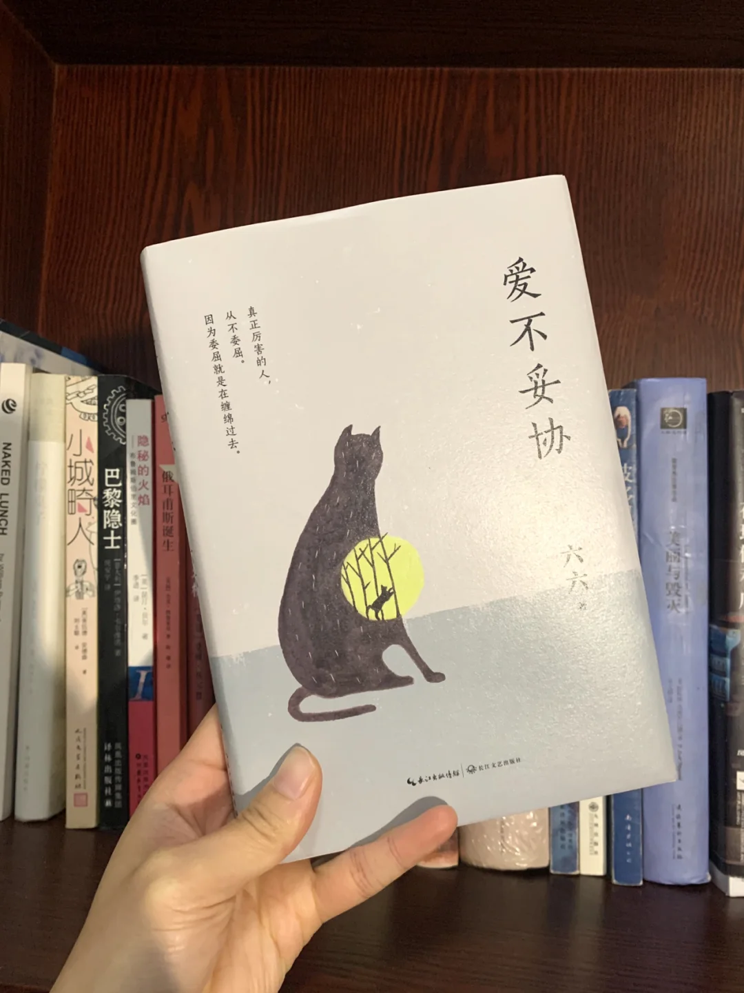 编剧六六的经典话语，值得女性品读