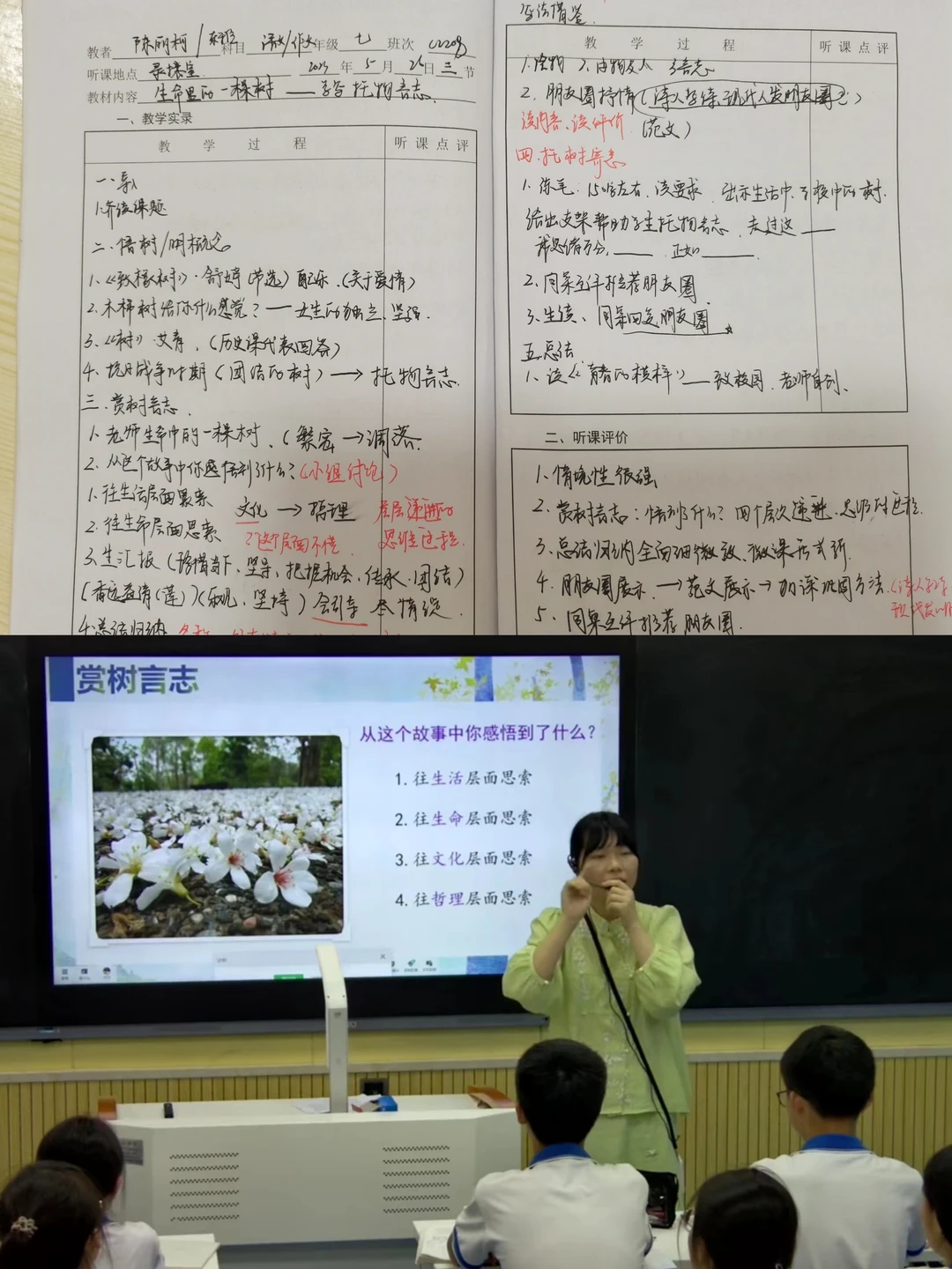 生命里的一棵树——学写托物言志🌲