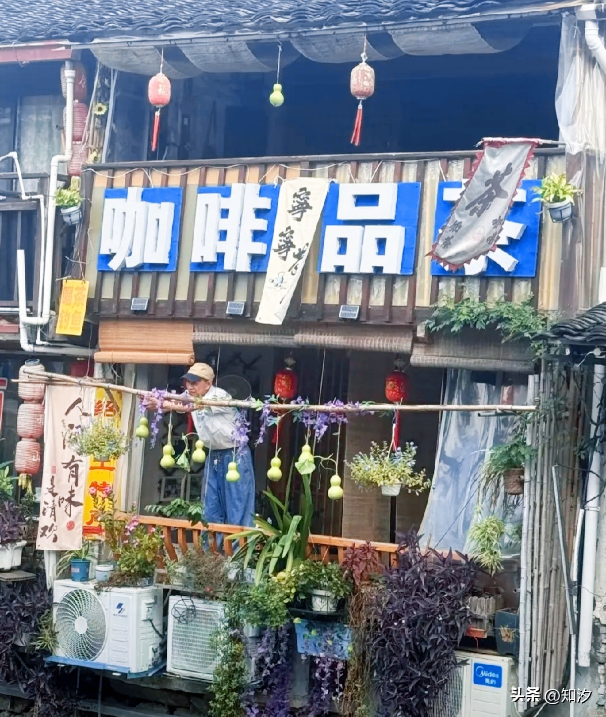 绍兴那七个火遍全网的“葫芦娃”昨晚被爷爷剪了，不少人连夜赶过去扑了个空，评论区里全是叹息声。

结果呢？今早出门一看，隔壁咖啡店门口立马挂上了七个新葫芦，这反应速度，简直是把流量密码给拿捏得死死的。

不管是长得歪瓜裂枣，还是圆润周正，只要挂在那儿，就有人愿意去打卡。

原本那七个葫芦能火，是因为老