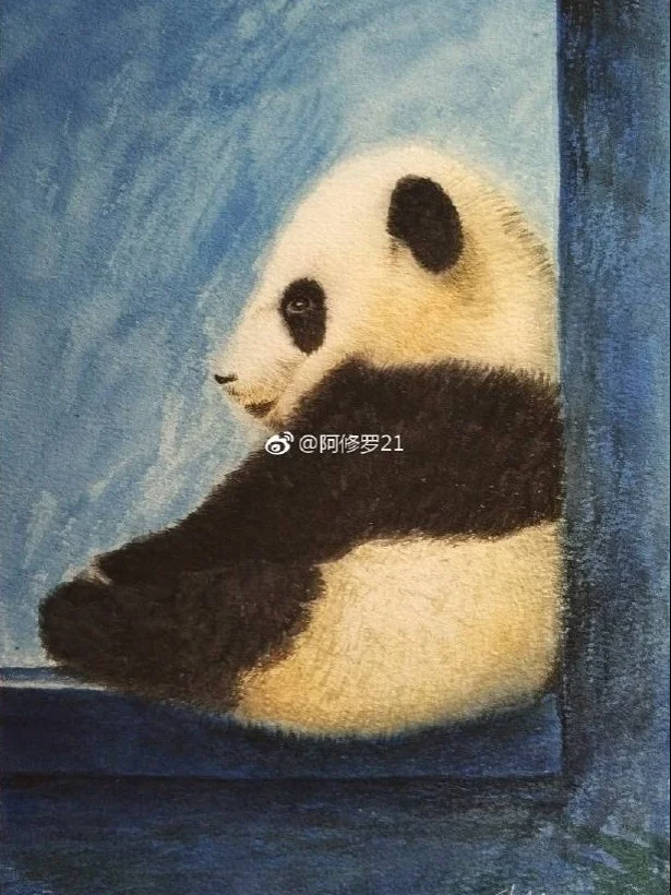 水彩大熊猫。思考熊生ing~