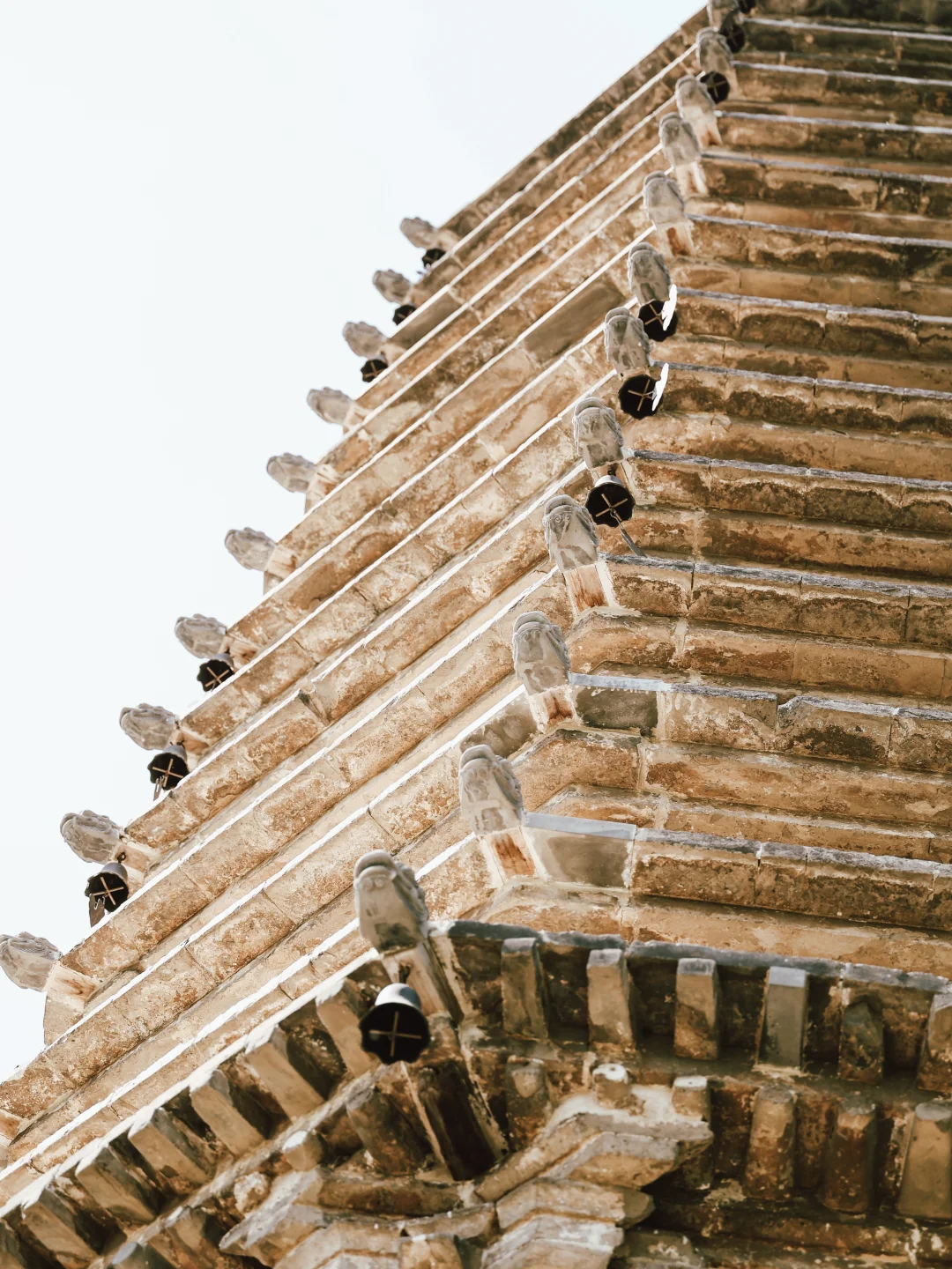 风吹麦浪，听800年前皇甫寺塔铃声悠扬