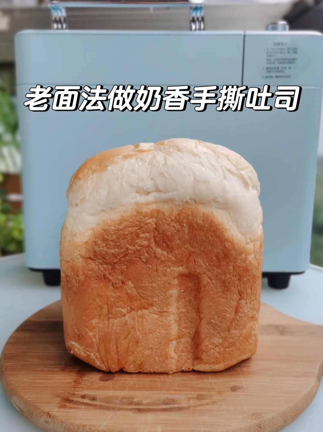 面包机一键顶到天花板的秘密：加一小团老面