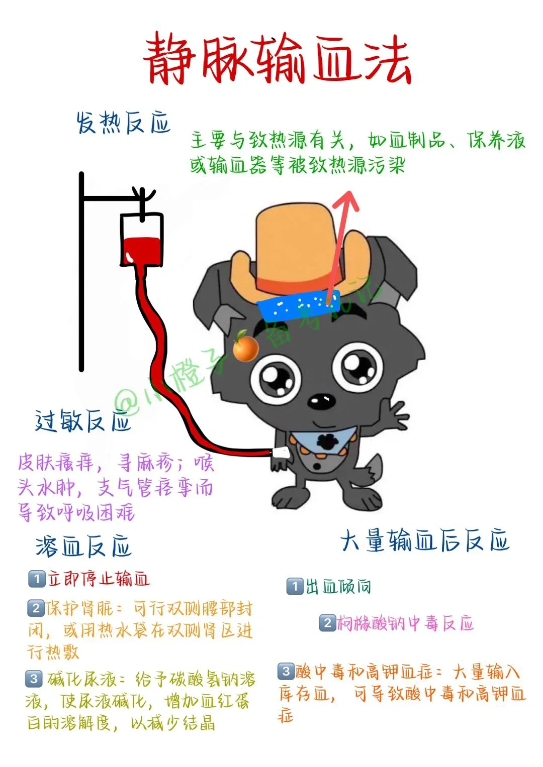 📖护师笔记｜基础护理学｜静脉输血法🩸