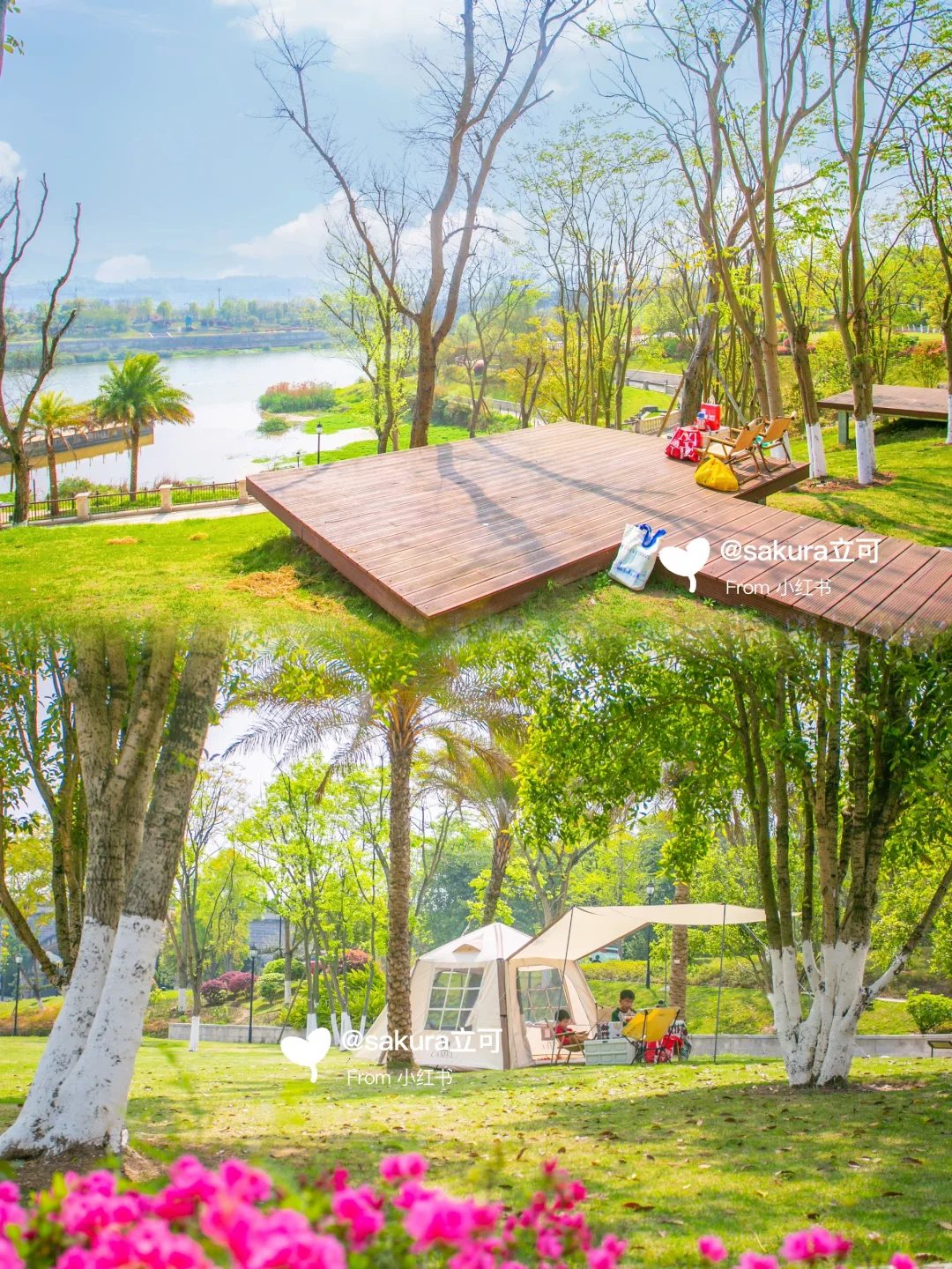 99%不知的免费露营地⛺️江景露台+沙池草坪❗️