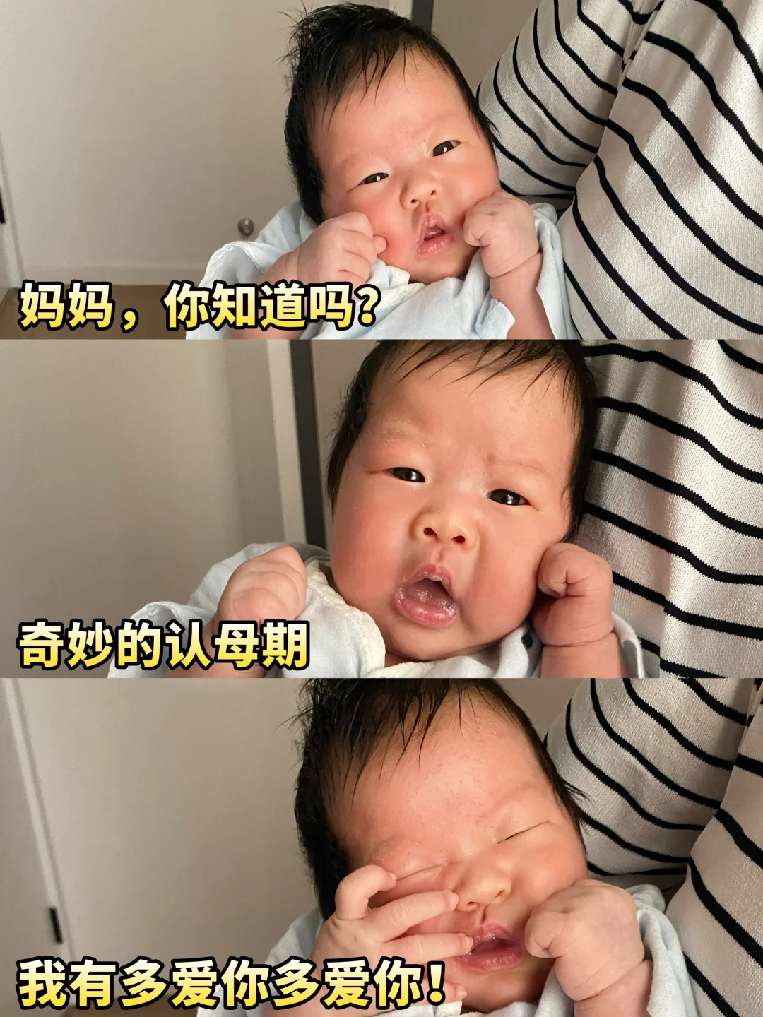 神奇的认母期！一篇读懂宝宝爱的程序！