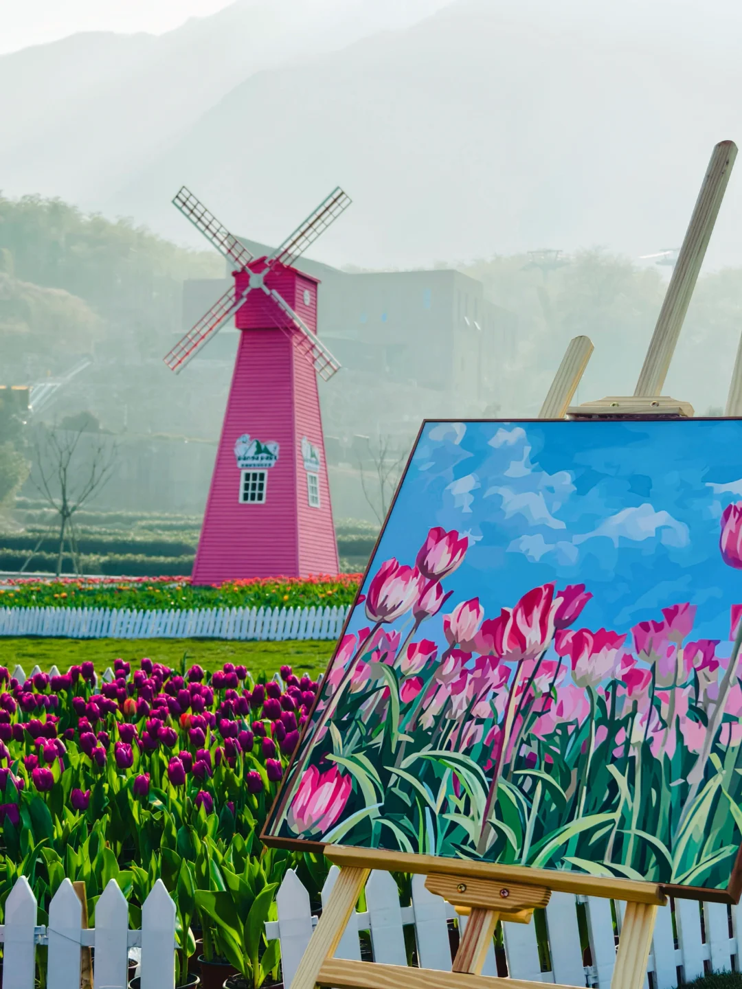 拍800张郁金香 安吉新开乐园性价比拉满