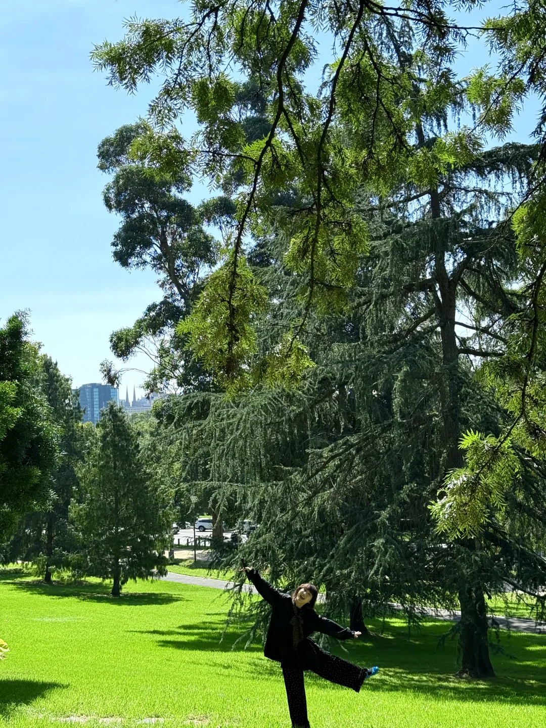 🌿【逃离天花板计划｜墨尔本版绿野仙踪】