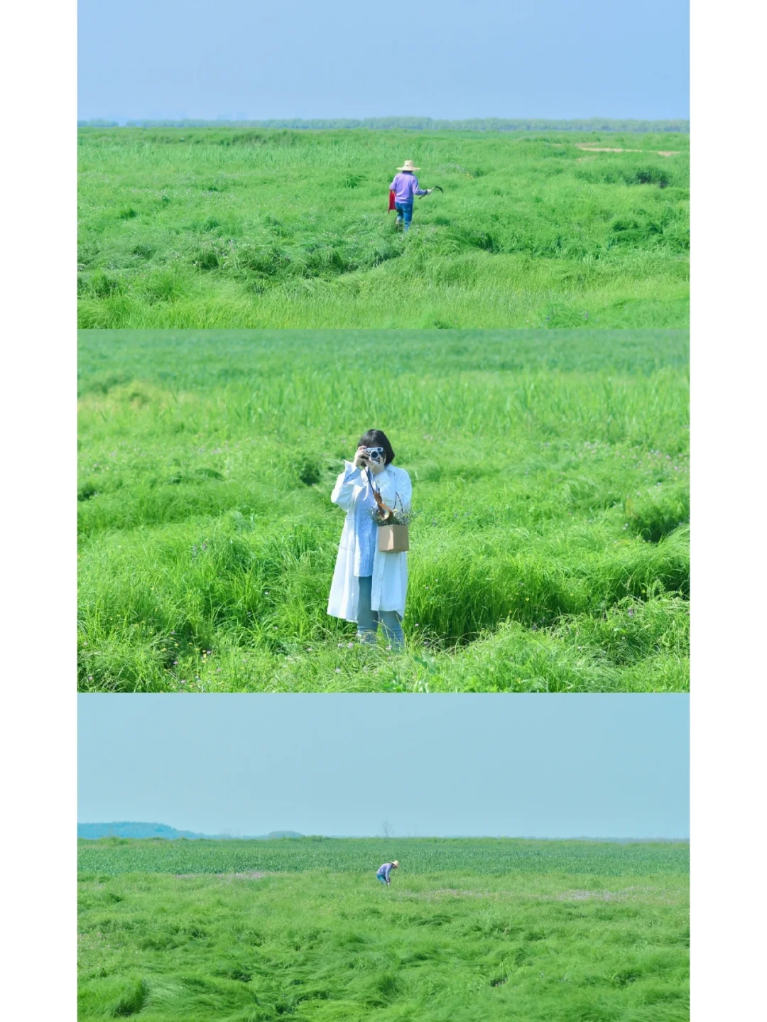 武汉/春日出逃计划，闯入无人绿色草海🌿