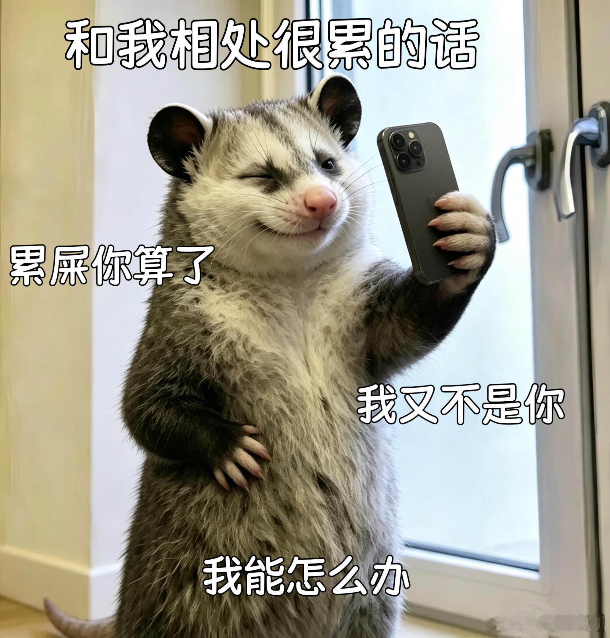 为什么又开始朋友圈焦虑啦？？？ 不是以前大家用QQ的时候怎么就不焦虑呢...