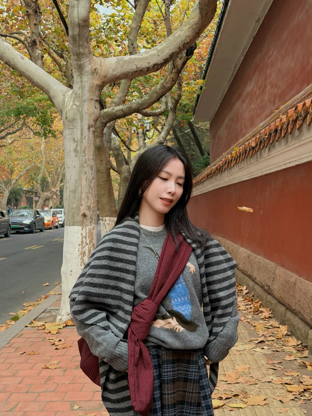 青岛两日🍁来过秋天了