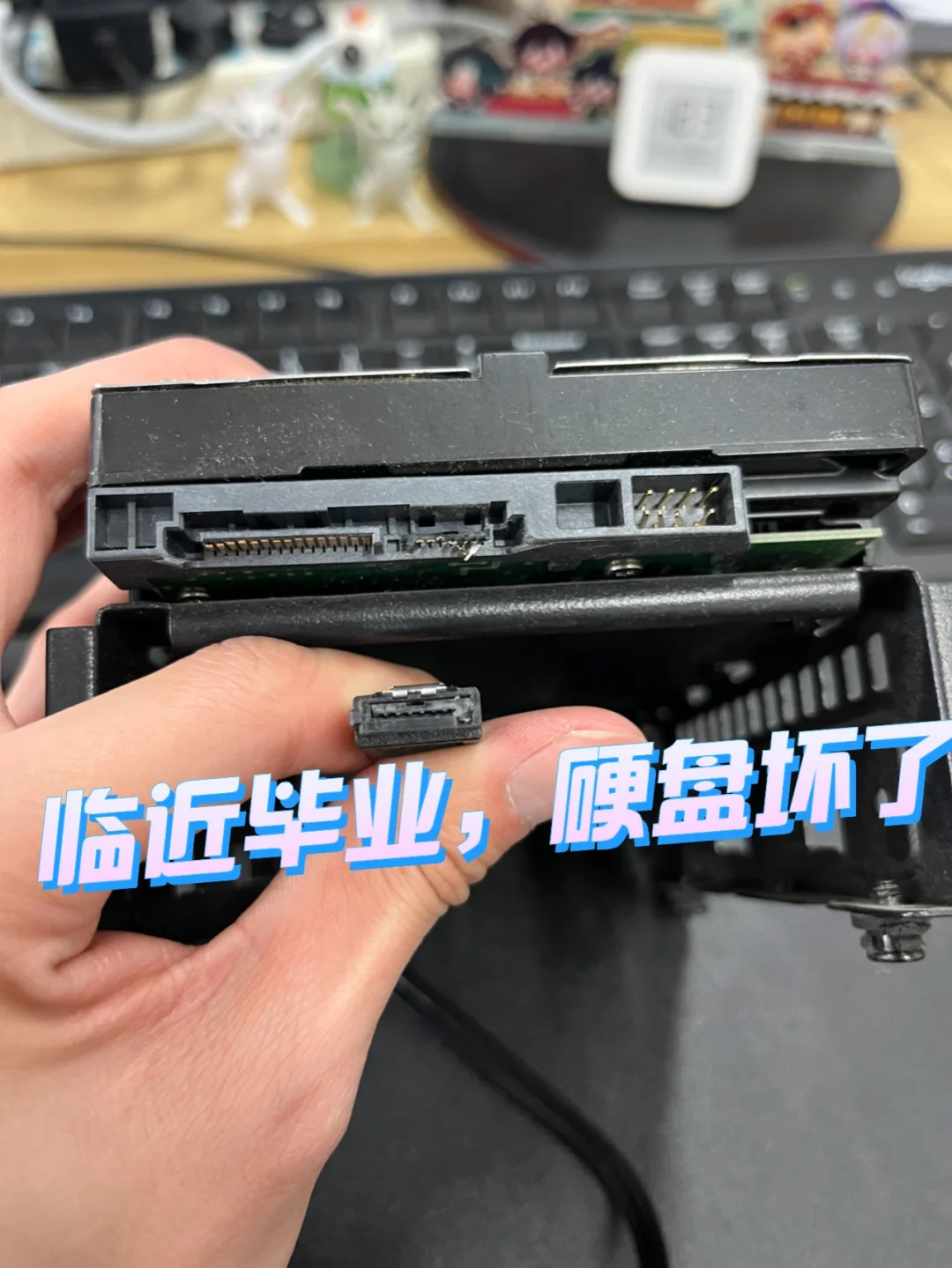 临近毕业，快递中硬盘损坏，😭惨重教训❗️