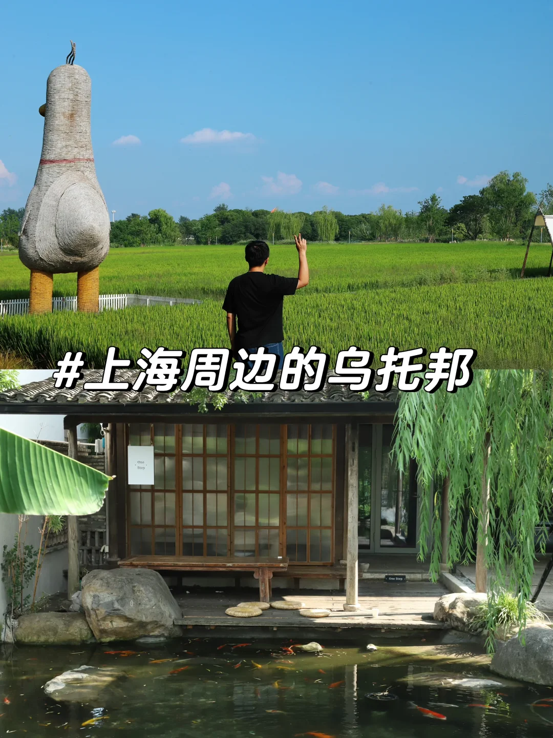 周末离沪计划（9/50）计家墩～乌托邦般的乡村