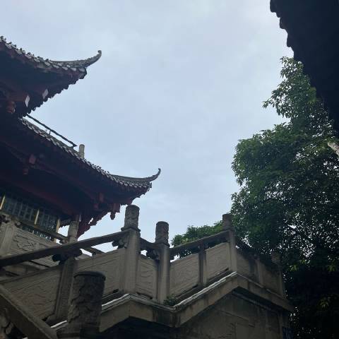 Madam说