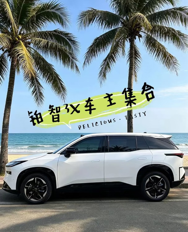 铂智3X车主集合✨，一起聊聊！