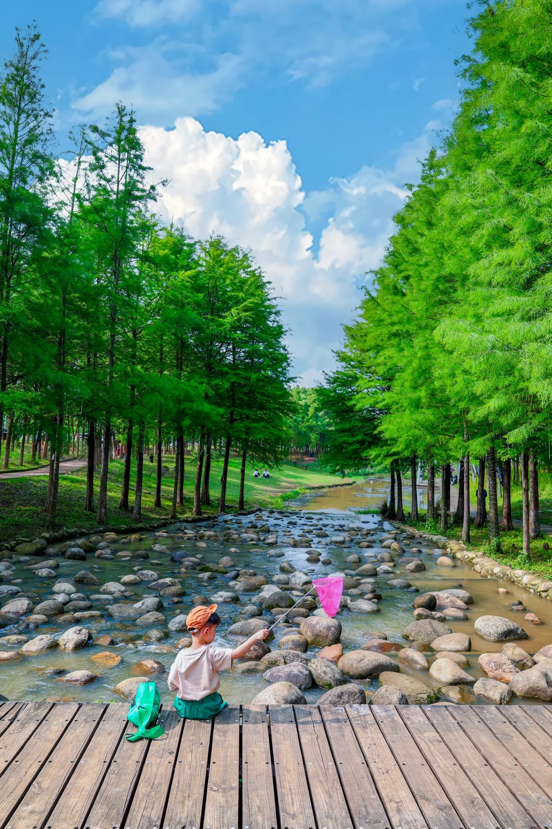 武汉公交直达🚌绿野仙踪公园小龙虾已爆棚‼️