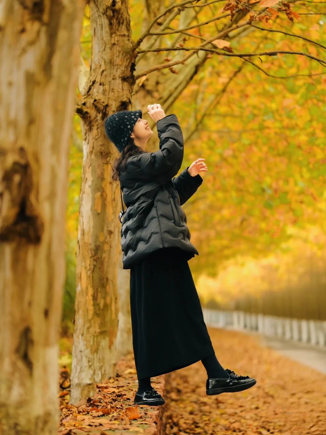 我总是反反复复爱上秋天！