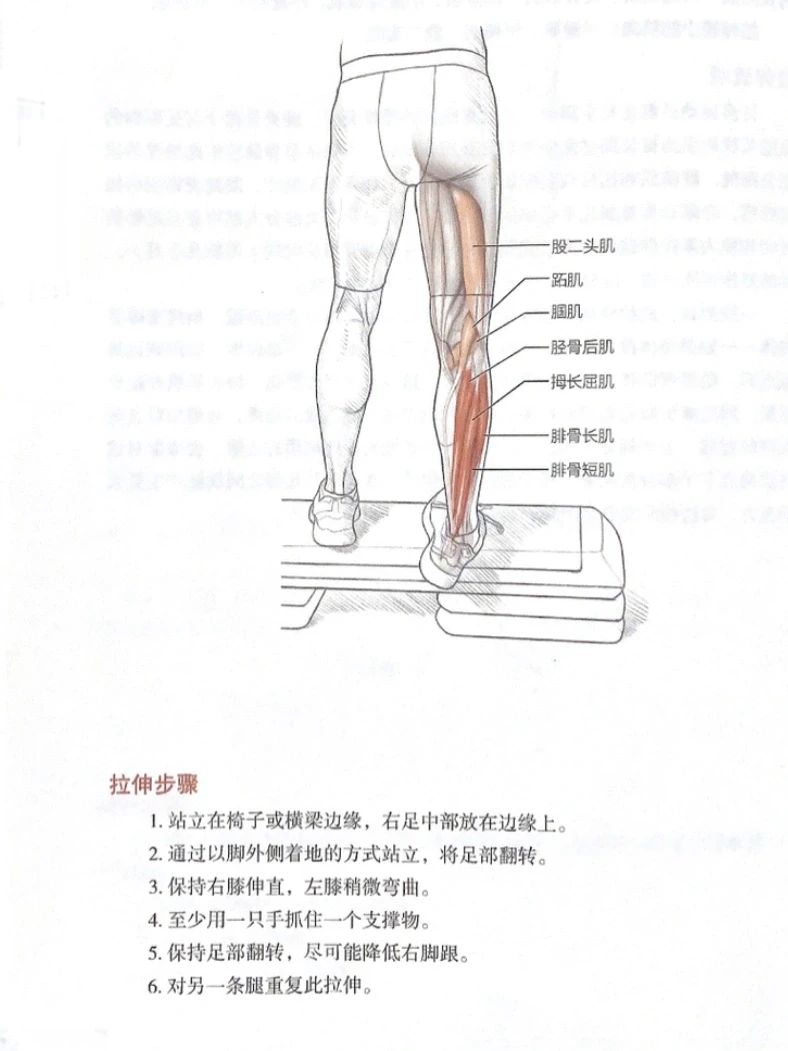 小腿粗又紧怎么办？试试这个拉伸🔥