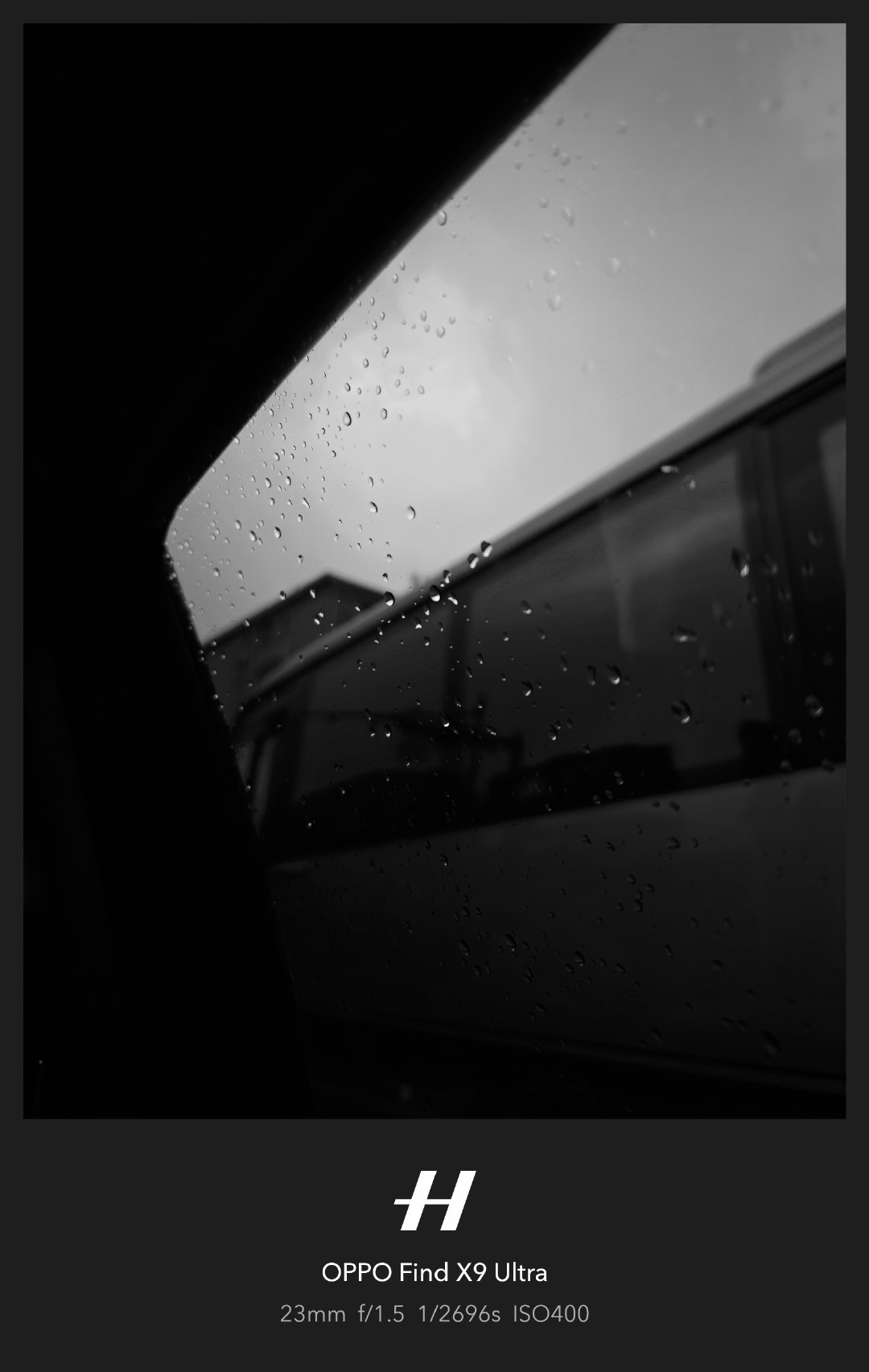 🐮🐴#oppo[超话]##下雨[超话]##哈苏[超话]##365天摄影计划[超话]# ​