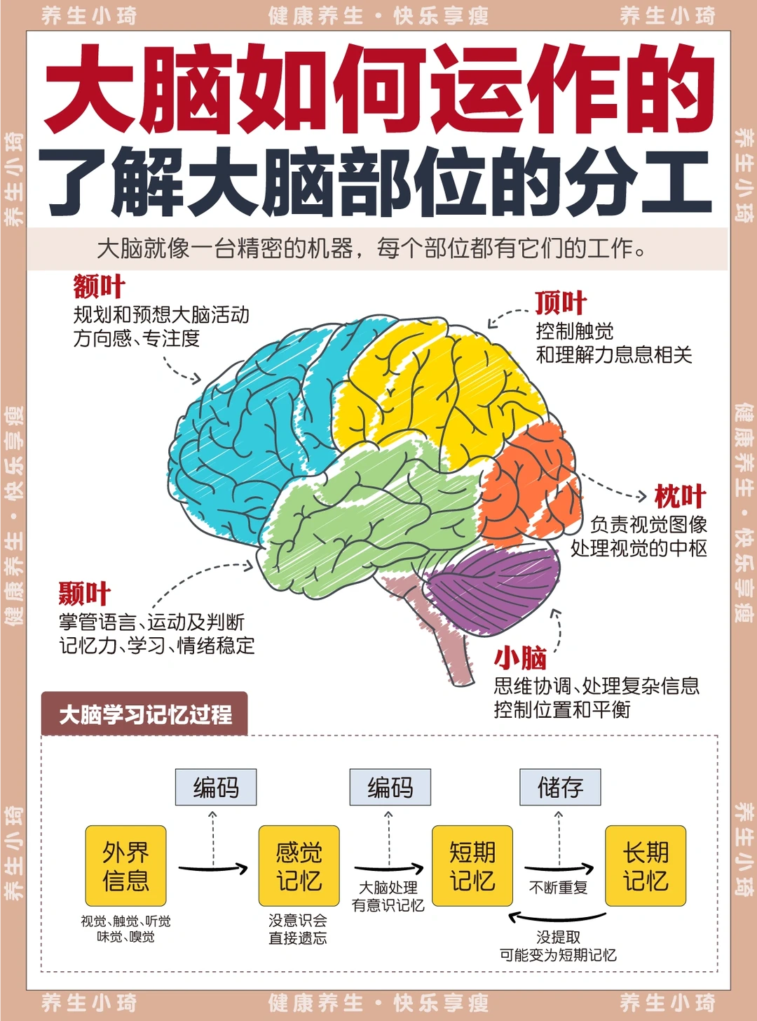 別被学习cpu了！抓住轻松一次上岸的秘诀🚀