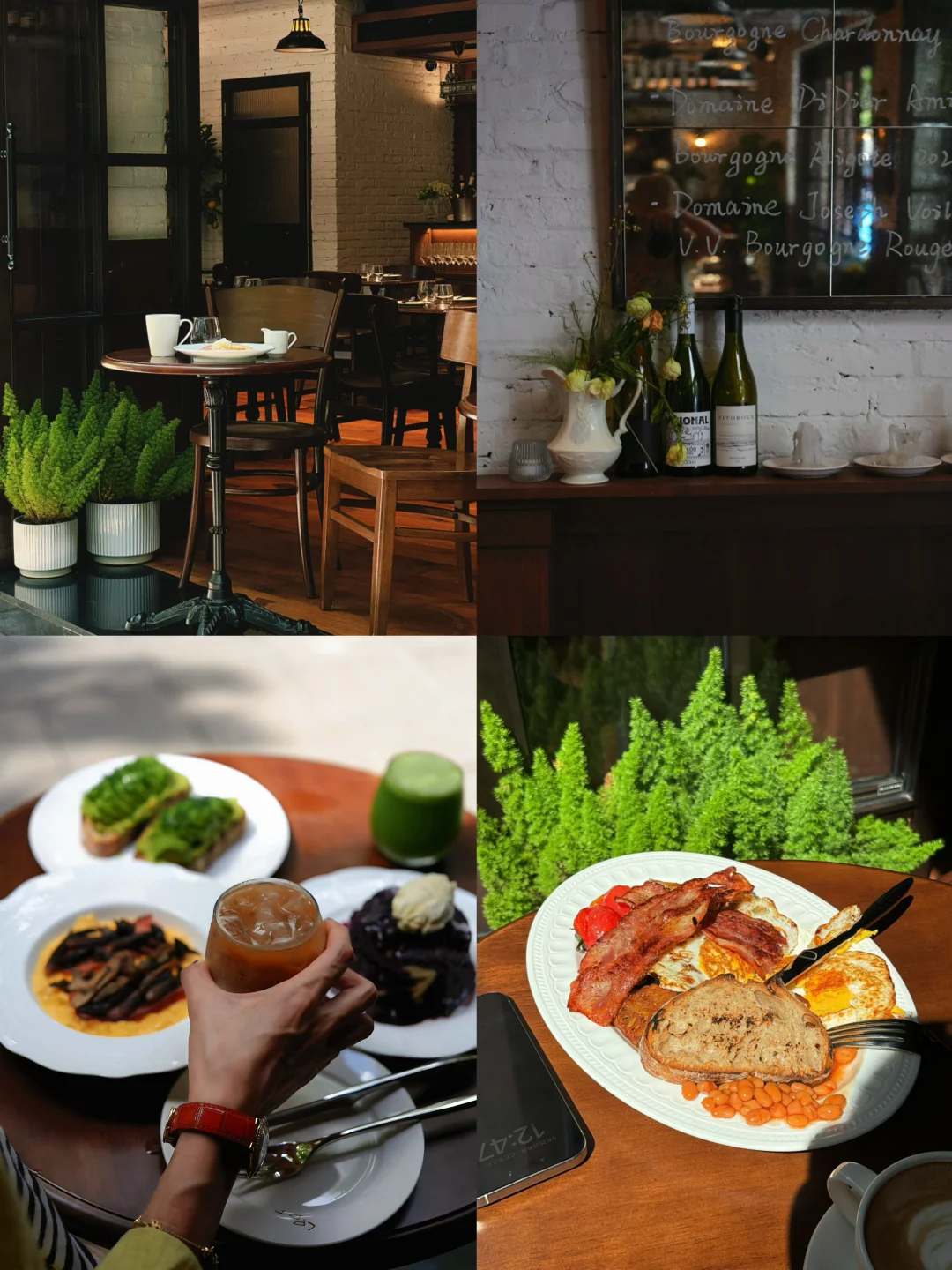 🍽️🥂| 梧桐区光影好看，食物好像也更好吃了