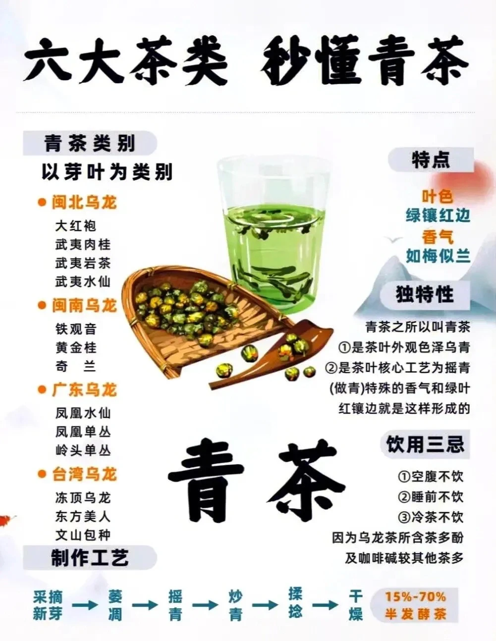 关于青茶的超全知识整理📗让你秒懂青茶