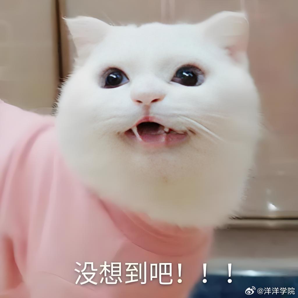 #大厂程序员辞职在宁夏用AI养羊#这波操作狠狠治愈职场焦虑，谁说程序员只有贬值内卷一条路，换个实体赛道发光发热，用技术创造实际价值，远比机械打工更有意义[爱慕] ​