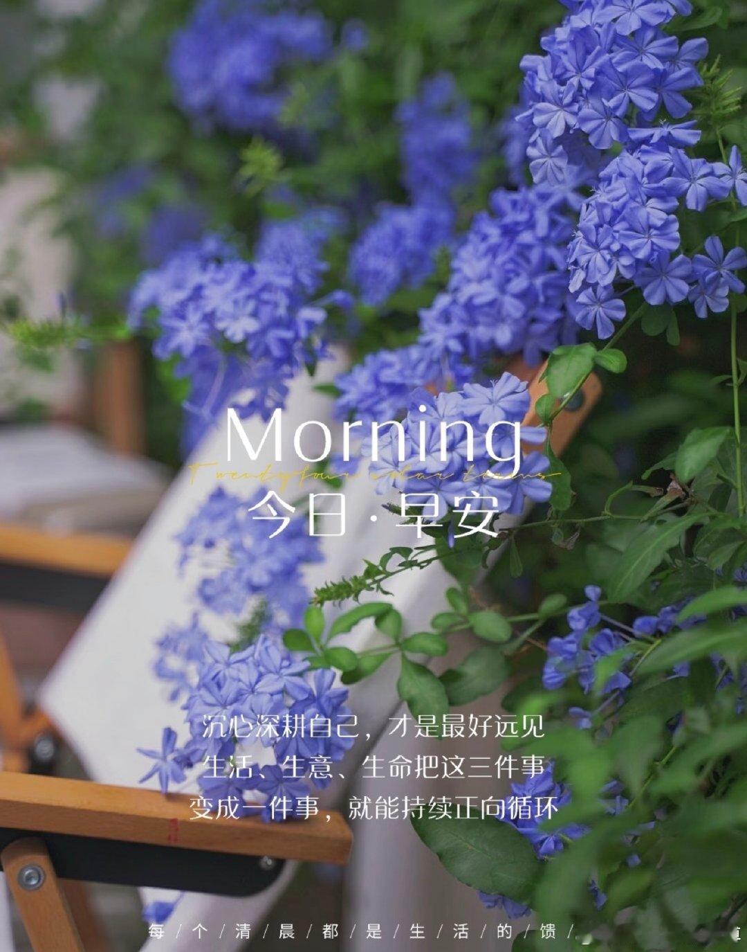 #早安[超话]# ᵕ̈ 𝓜𝓸𝓻𝓷𝓲𝓷𝓰 ☕
日子不必太满，心态别太急
把该做的事做好，把该走的路走稳
早安，愿你今天有序、有光、有收获🌱
#早安# ​
