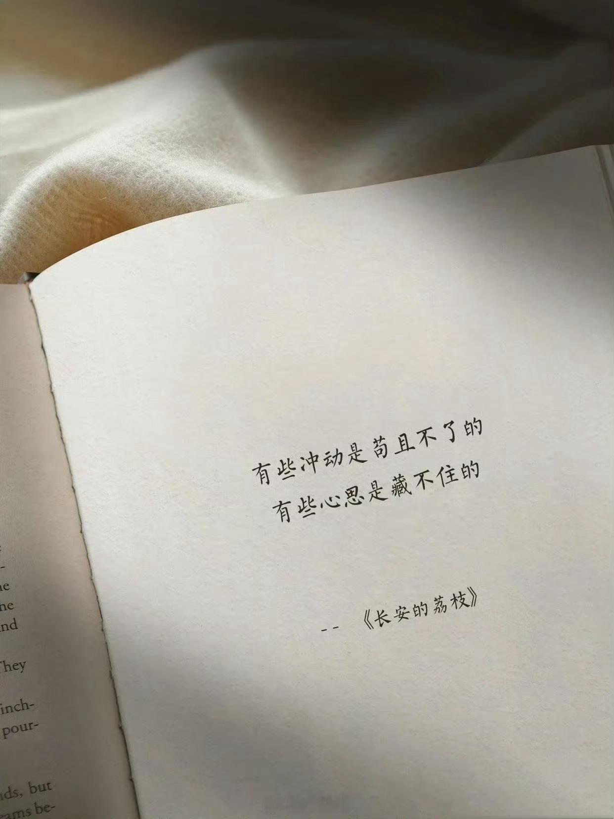 《长安的荔枝》中的句子 ​​​
