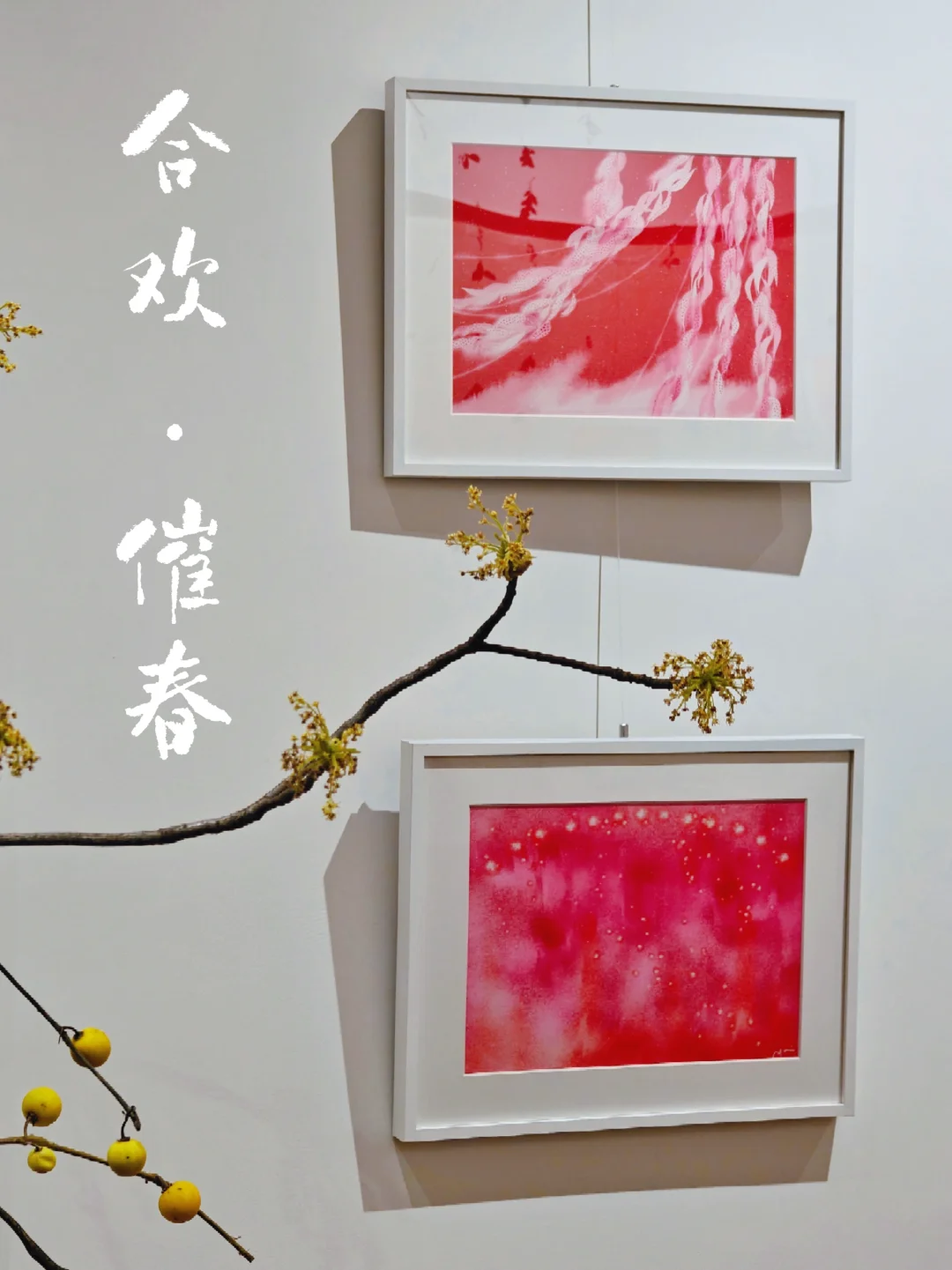 惊蛰开始的自然之约｜春天的温柔切片