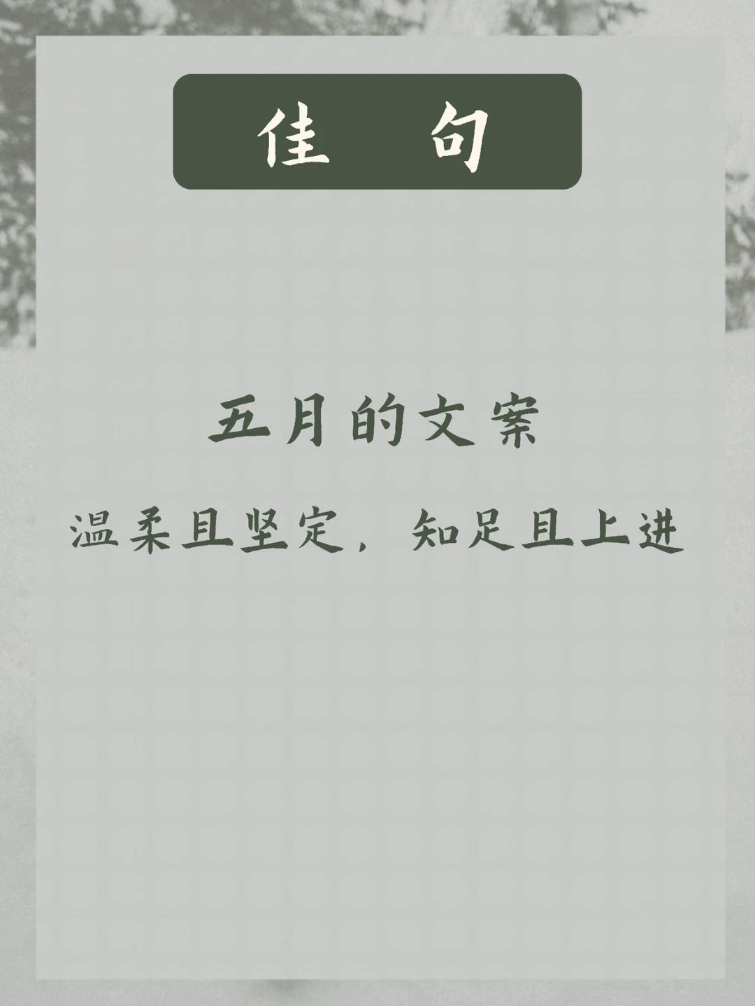 五月人间 | 岁月不饶人，我亦未曾饶过岁月