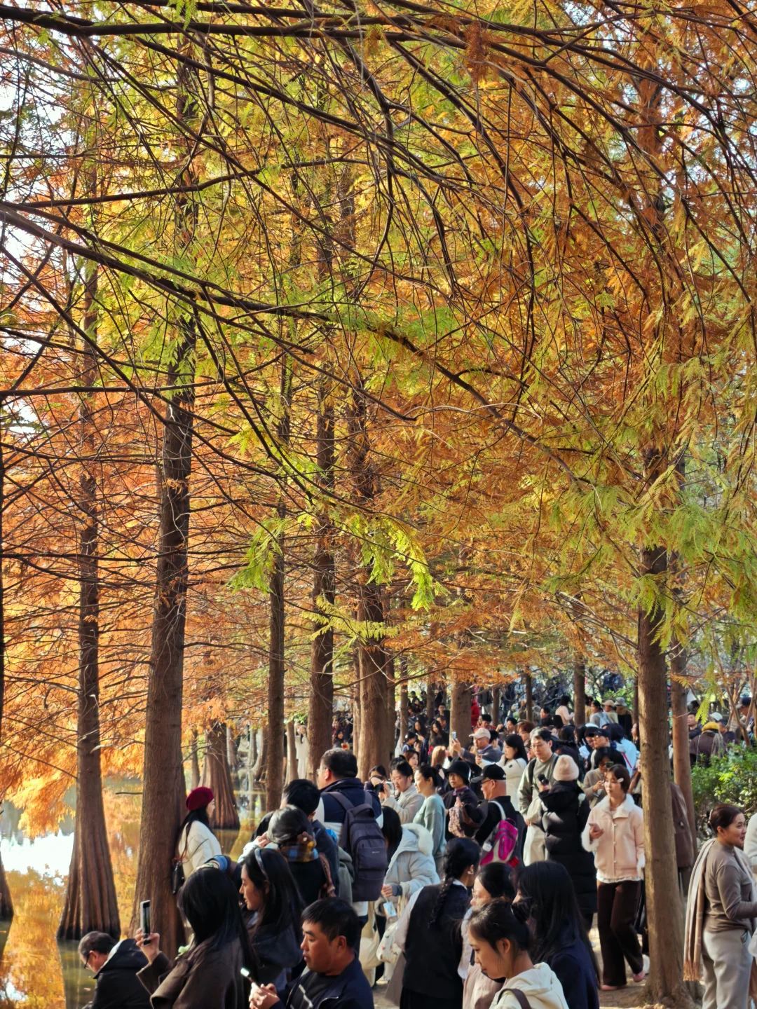 💥红啦！南京燕雀湖今天杀疯啦！附实况