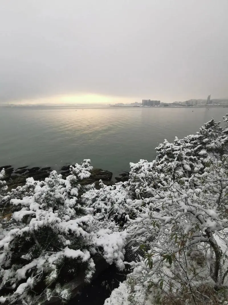 威海“倾盆大瓢雪”刷屏！20厘米积雪夜袭